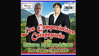 9 Ejuna che rayhuro añete  Los Campesinitos Carapegueño y su Grupo Electrónico [upl. by Edith]