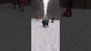 Rodelbahn an der Wurmbergseilbahn Braunlage im Harz [upl. by Allenrad]