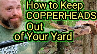 How to Keep COPPERHEADS Out of Your Yard [upl. by Claudianus]