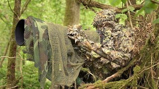 BIRD PHOTOGRAPHY in the forest  Wildlife photography behind the scenes  Nikon Z7 FTZ camouflage [upl. by Gnov]