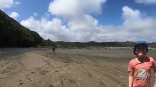 Exploring the stunning beauty of Bethells Beach part 3🌊✨ BethellsBeach NZAdventures BeachVibes [upl. by Sharia]