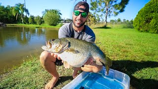 Stocking Pond With GIANT 12lb PET BASS overly stuffed fish [upl. by Stormie]