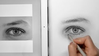 Learn How To Draw an Eye from a Reference Photo [upl. by Nennahs]