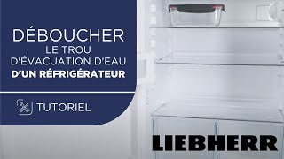 Comment déboucher le trou dévacuation deau dun réfrigérateur [upl. by Xel759]