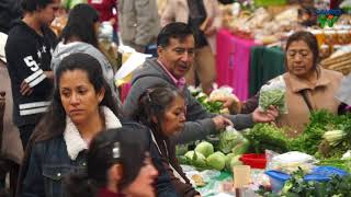 Tianguis Orgánico Chapingo [upl. by Ardnekan]