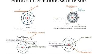 Lecture 2  Introduction to Radiation Biology and Physics [upl. by Moorefield80]