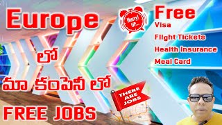 FREE JOBS AND VISA SPONSERSHIP VML  Telugu Travel Vlogs  Telugu Vlogs From Europe  Jobs in Europe [upl. by Barri47]