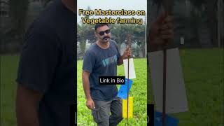 Cheap and effective solution for pests in farming [upl. by Banyaz]