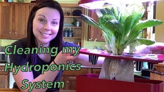 How To Clean The iDOO Hydroponic LED Grow System  6 Week Update  EverCrest [upl. by Anaiuq]