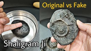 Original Shaligram Ji  Shaligram Ki Pehchan  Original vs Fake Test Shaligram Stone [upl. by Nelak]