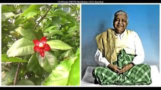 10Minute METTA Meditation with SN Goenka English [upl. by Sherborn582]