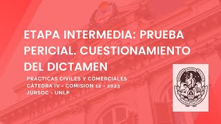 Prueba pericial Cuestionamiento del dictamen [upl. by Ennyl]