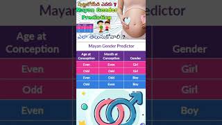 Mayan Gender Prediction Calendar  trending viralvideo explore pregnancy [upl. by Garlen]