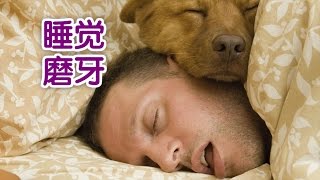 牙医教你夜里磨牙怎么办？ How to Stop Grinding Teeth at Night？ [upl. by Trik]