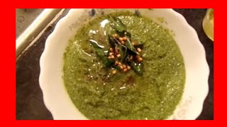 Pudina Chutney  Home Cooking  samayal in tamil  Hemas Kitchen  Amma Samayal  Madras Samayal [upl. by Burta301]