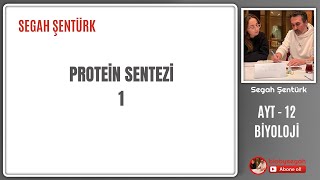 Genden Proteine  Protein Sentezi Part 1  AYT BİYOLOJİ  12SINIF  YKS 2025 [upl. by Awjan]