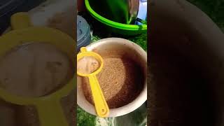 Sabudana wali chai youtubeshorts sapnavishalvlogs [upl. by Ellehsad847]