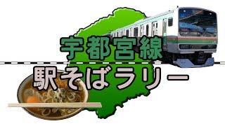 【宇都宮線駅そばラリー】宇都宮線の改札内にある立ち食いそば屋巡り  Utsunomiya Line station Soba rally [upl. by Cirde432]