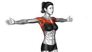 Best NoEquipment Exercises for Toned Arms [upl. by Nawd]