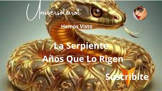 💛La Serpiente💛Horoscopo Chino💛💤 Años Que La Rigen💦 [upl. by Acirretahs921]