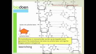 Biodoen  leesrichting 1 van 2 [upl. by Oicapot]