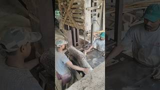 Wood katting 🥰 katting woodreels sorts video tendring [upl. by Idolem]