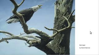 Robert Bateman the greatest nature painter ever [upl. by Vyse]