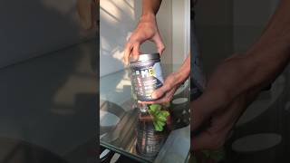 MUSCLEBLAZE Creatine Monohydrate Unboxing foryou creatine unboxing review supplements short [upl. by Torr]