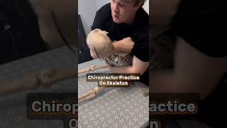 Chiropractor Practice on a Skeleton theawsomavenger tannerBR0studios baharley1badass460 [upl. by Pauwles384]