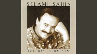 Özledim Her Şeyini [upl. by Pelligrini]