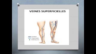 SEMIOLOGIE Examen vasculaire [upl. by Enehpets]