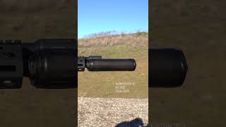 300blk Subsonic [upl. by Rombert848]