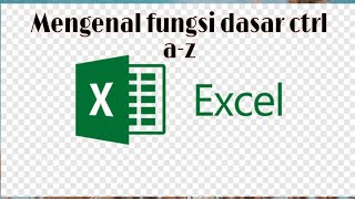 Fungsi CTRL AZ pada excel [upl. by Ardnohsal]