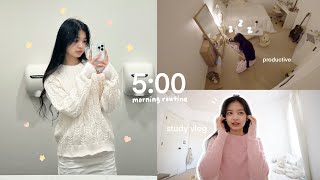 5 AM Uni Student Morning Routine Simple Yet Productive Morning Studying for Final Exams amp Vlogmas [upl. by Enalda]