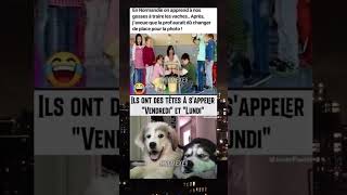 La Normandie😭meme drole viralvideo [upl. by Campman]