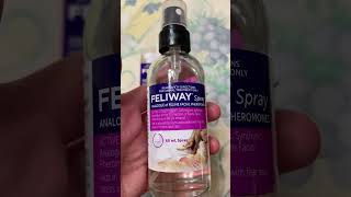 Feliway Spray for Cats [upl. by Aietal]