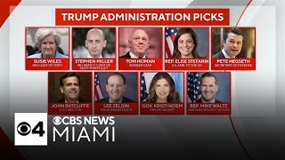 Presidentelect Donald Trump makes new administration picks  Quickcast [upl. by Eessej]