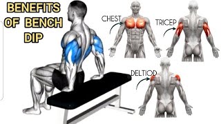 Why You Should Do ThreePoint Bench Dips  benchdip benefit [upl. by Mab988]