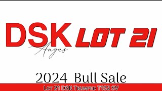 Lot 21 DSK Trumped T152 SV [upl. by Naicad965]