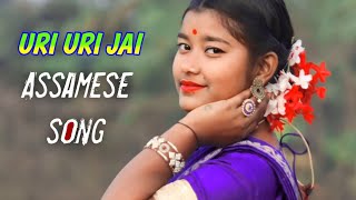 Uri Uri Jai  Assamese Song Dance Cover  Deeplina Deka  Cover By Barman Sisters [upl. by Uela]