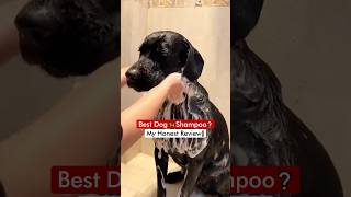 Best Dog 🦮 Shampoo  My Honest Review❗ [upl. by Norvin]