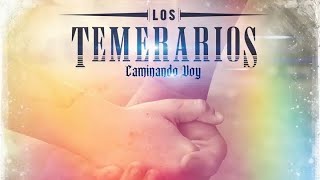 Los Temerarios  Caminando Voy Versión Final [upl. by Aviva]