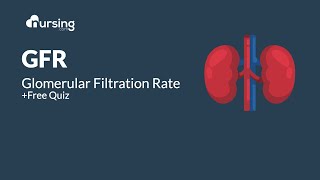 Glomerular Filtration Rate GFR Lab Value for Nurses  Free Quiz [upl. by Whyte]