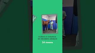 Aprimoramento Profissional  Medicina Veterinária [upl. by Naujahs]