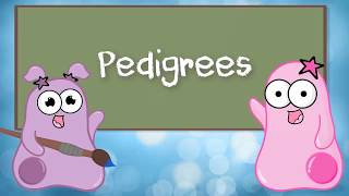 An Introduction to Pedigree Analysis [upl. by Tansey986]