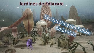 La extraña biota de Ediacara [upl. by Remmus63]