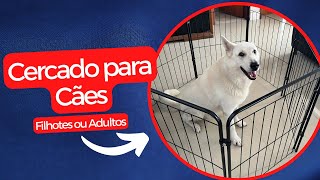 Unboxing  CercadoCercadinho para Cães  Filhotes ou Adultos [upl. by Anen605]