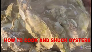 SHUCKING STEAMED OYSTERS [upl. by Yuht]