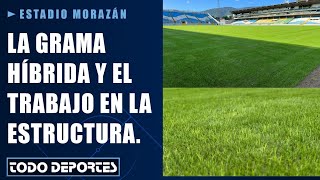 Los avances de la grama híbrida y el trabajo en las graderías del Estadio Morazán [upl. by Jacoba]