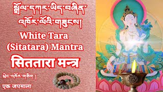 White Tara Mantra 108 times སྒྲོལ་དཀར་ཡིད་བཞིན་འཁོར་ལོའི་གཟུངས་ཕྲེང་འཁོར་གཅིག ། [upl. by Paulina]